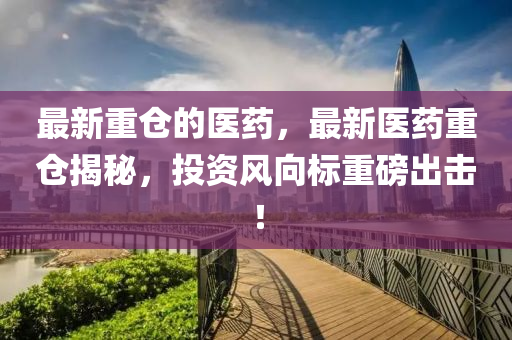 最新重倉(cāng)的醫(yī)藥，最新醫(yī)藥山東水清源環(huán)?？萍加邢薰局貍}(cāng)揭秘，投資風(fēng)向標(biāo)重磅出擊！