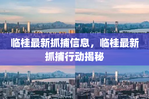 臨桂最新抓捕信息，臨桂最新抓捕行動揭秘山東水清源環(huán)?？萍加邢薰? class=