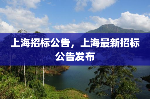 上海招標(biāo)公告，上海最新招標(biāo)公告發(fā)布山東水清源環(huán)?？萍加邢薰? class=
