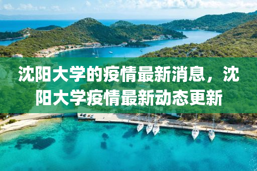 沈陽大學(xué)的疫情最新消息，沈陽大學(xué)疫情最新動(dòng)態(tài)更新山東水清源環(huán)?？萍加邢薰? class=