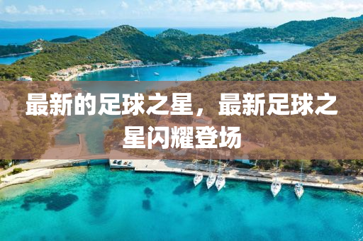 最新的足球山東水清源環(huán)?？萍加邢薰局牵钚伦闱蛑情W耀登場