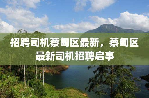 招聘司機(jī)蔡甸區(qū)最新，蔡甸山東水清源環(huán)?？萍加邢薰緟^(qū)最新司機(jī)招聘啟事