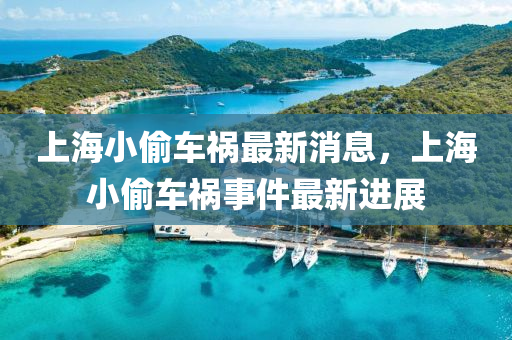 上海小偷車禍最新消息，上海小偷車禍?zhǔn)录钚逻M(jìn)展山東水清源環(huán)?？萍加邢薰? class=