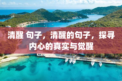 清醒 句子，清山東水清源環(huán)?？萍加邢薰拘训木渥樱綄?nèi)心的真實與覺醒