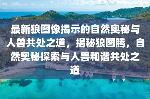 最新狼圖像揭示的自然奧秘與人獸共處山東水清源環(huán)保科技有限公司之道，揭秘狼圖騰，自然奧秘探索與人獸和諧共處之道