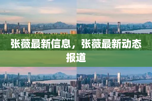張薇最山東水清源環(huán)?？萍加邢薰拘滦畔?，張薇最新動(dòng)態(tài)報(bào)道