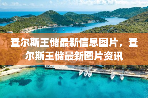 查爾斯王儲(chǔ)最新信息圖片，查爾斯王儲(chǔ)最新圖片資訊