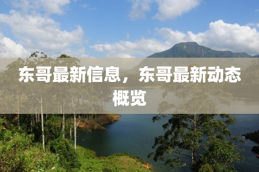 東哥最新信息，東哥最新動(dòng)態(tài)概覽