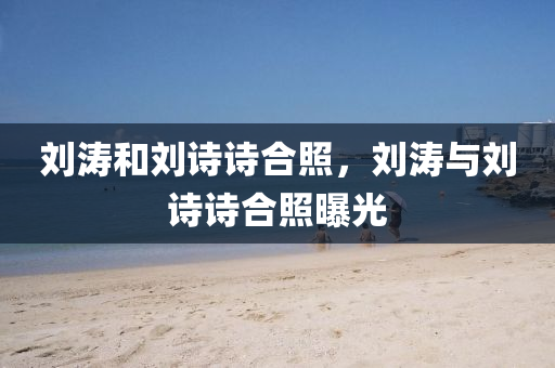 劉濤和劉詩詩合照，劉山東水清源環(huán)?？萍加邢薰緷c劉詩詩合照曝光