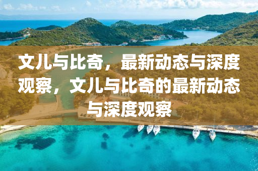 文兒與比奇，最新動態(tài)與深度觀察，文兒與比奇的最新動態(tài)與深度觀察