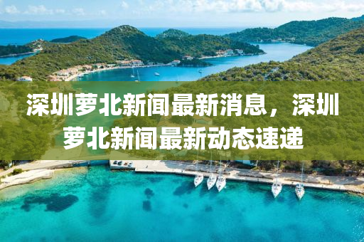 深圳蘿北新聞最新消息，深圳蘿北新聞最新動態(tài)速遞山東水清源環(huán)保科技有限公司